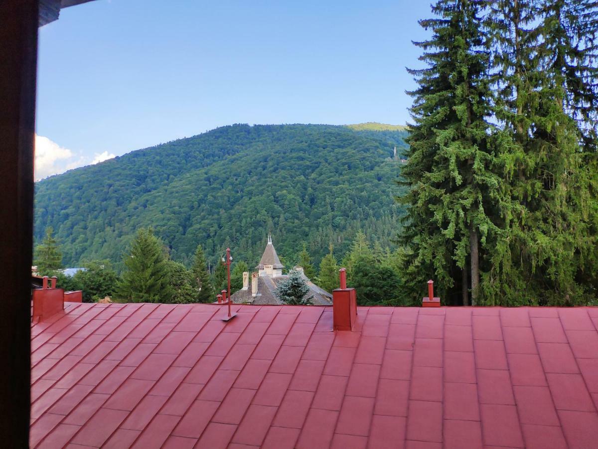 Cozy Loft At Teleferic Sinaia Exterior foto